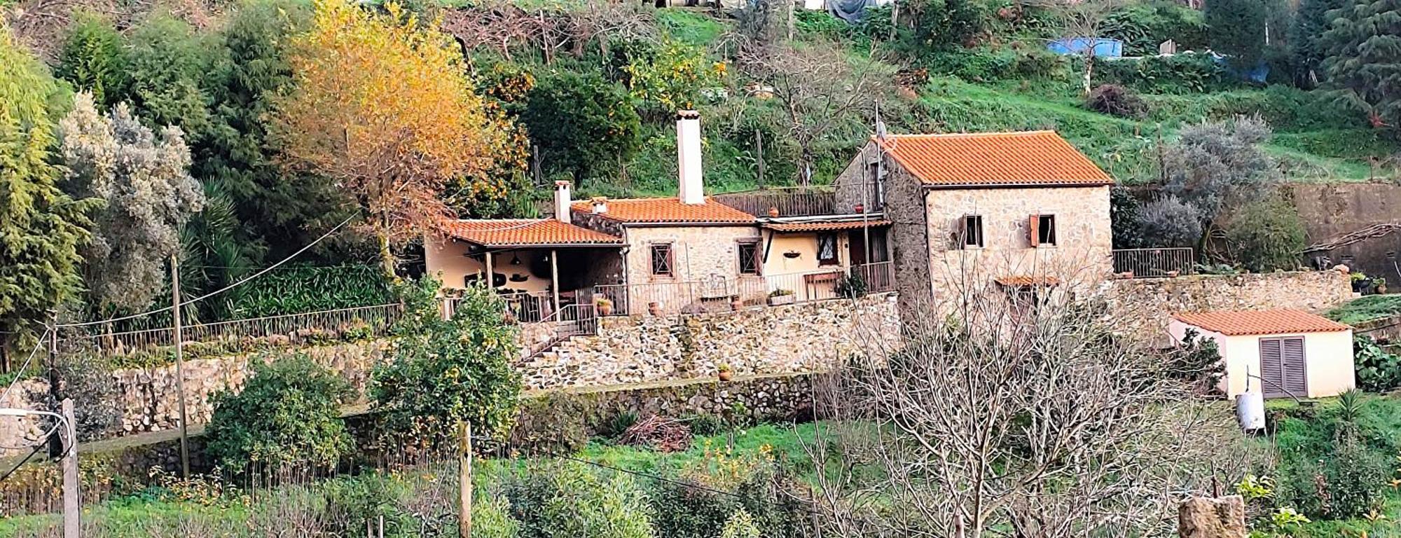 Quinta Da Costeira Villa Sever do Vouga Buitenkant foto