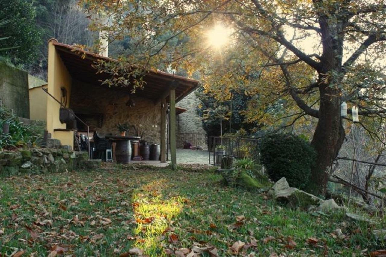 Quinta Da Costeira Villa Sever do Vouga Buitenkant foto