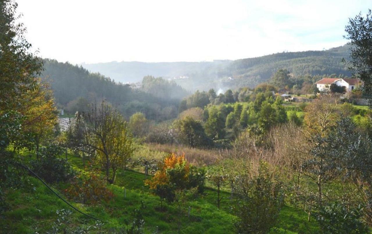 Quinta Da Costeira Villa Sever do Vouga Buitenkant foto