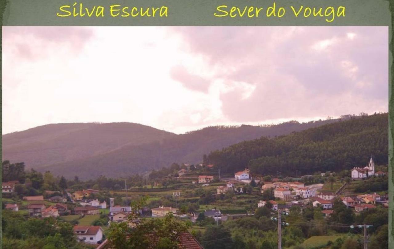 Quinta Da Costeira Villa Sever do Vouga Buitenkant foto
