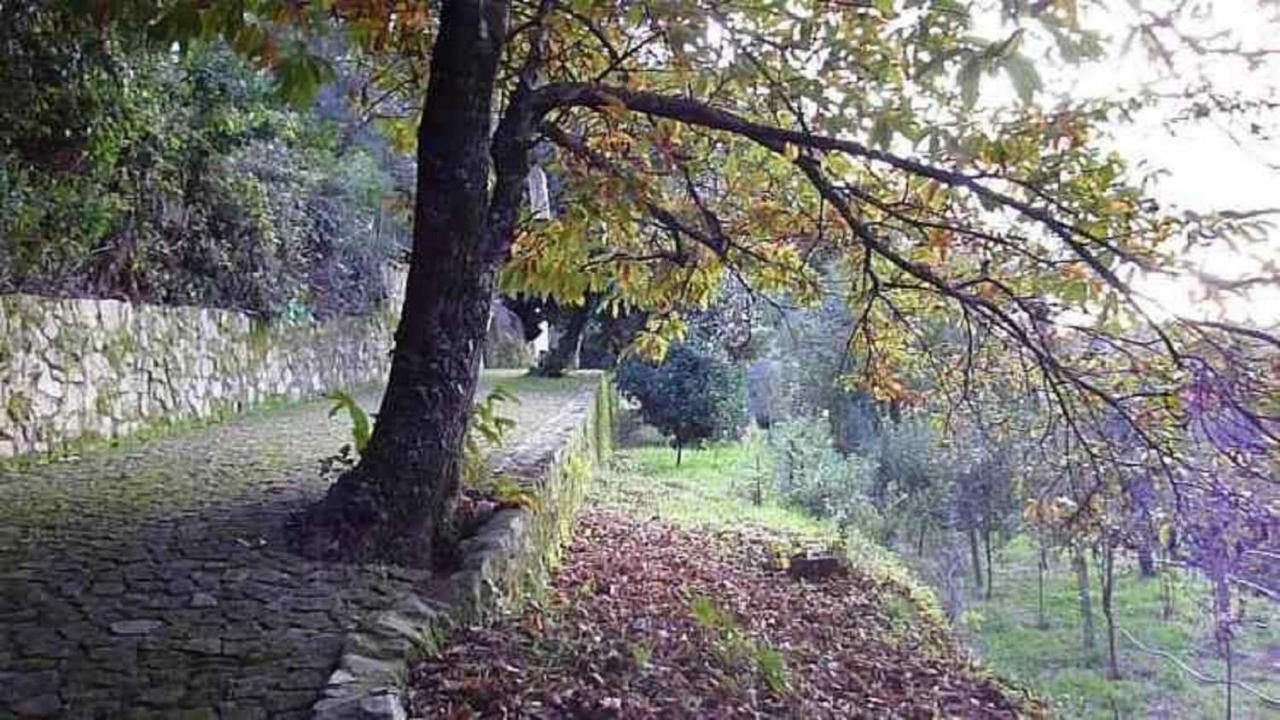 Quinta Da Costeira Villa Sever do Vouga Buitenkant foto