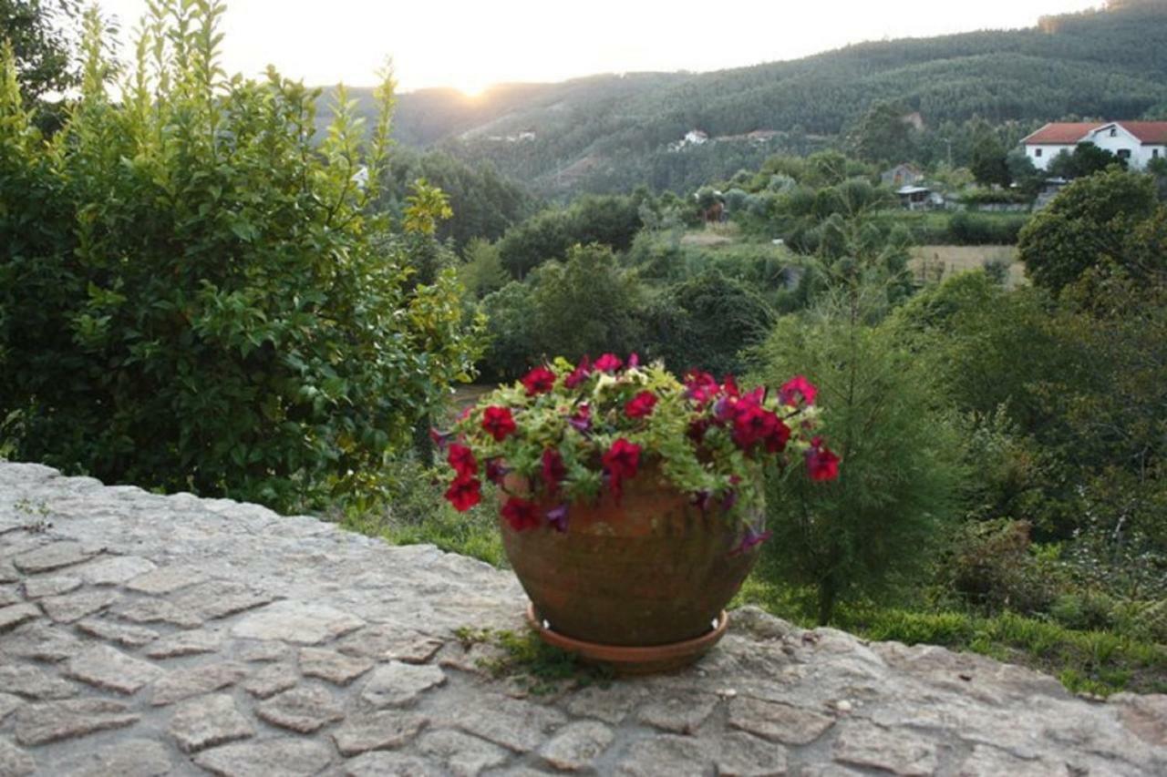 Quinta Da Costeira Villa Sever do Vouga Buitenkant foto