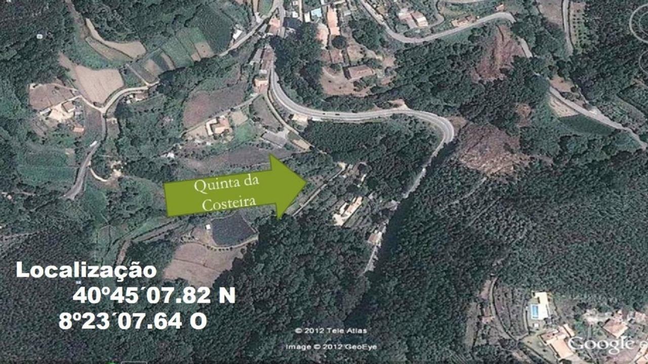Quinta Da Costeira Villa Sever do Vouga Buitenkant foto